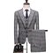 Blazers pantalon automne élégant gris plaid costume - photo 1