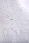 Robe de mariée chic versicolor longueur au niveau de sol avec perles satin extensible - photo 4