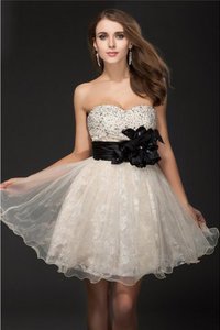 Robe de cocktail bref de col en cœur manche nulle avec zip de princesse