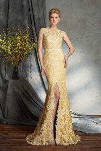 Robe mère de mariée naturel longue avec décoration dentelle avec zip de sirène