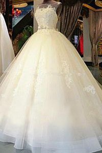 Robe de mariée de mode de bal appliques splendide avec ruban naturel