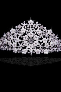 Belle incroyable de luxe bijoux nuptiale florale