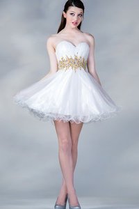 Robe de graduation plissage moderne avec zip a-ligne avec sans manches